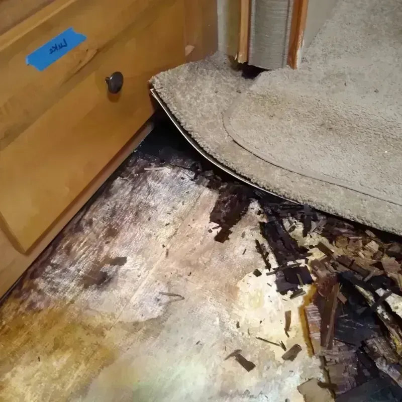 Wood Floor Water Damage in Lambert, MS